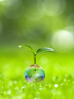 環境・社会活動